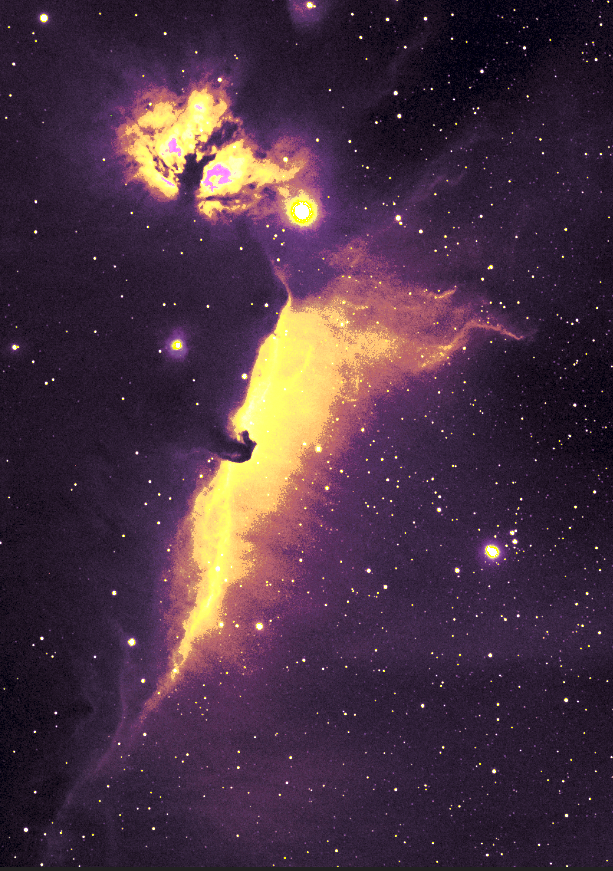 Horsehead Nebula Telescope Live